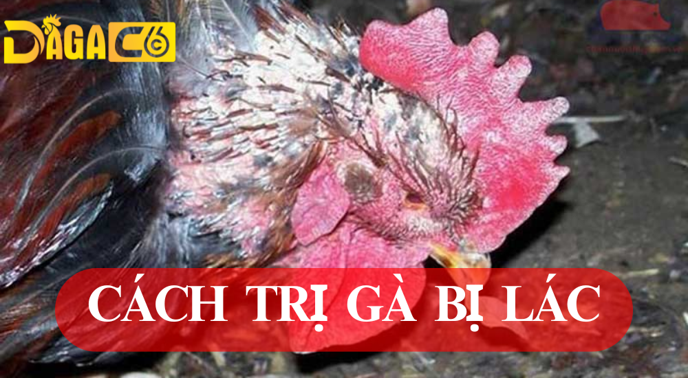 dagac6 ga bi lac